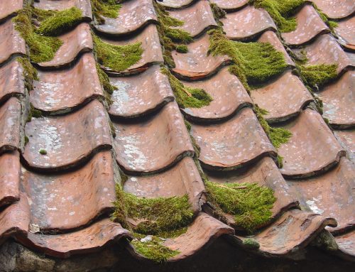 Are You Having Problems With Your Roof? Here Are Some Useful Tips